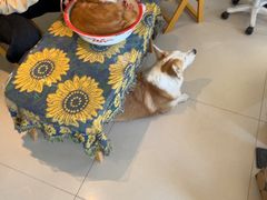 -平行世界·猫咖(首经贸店)