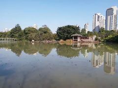 -金山公园