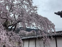 -醍醐寺