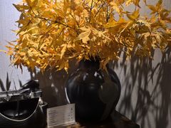 -Dragonfly 悠庭·按摩Spa(苏州中心广场店)