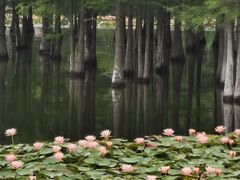 -白鹭湾湿地公园