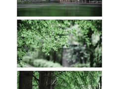 -青龙山国家森林公园