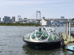 -台场海滨公园船码头
