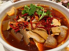 -洋洋中餐馆·SINCE 1997(龙湖星湖天街店)