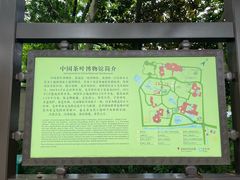 -中国茶叶博物馆(双峰馆区)