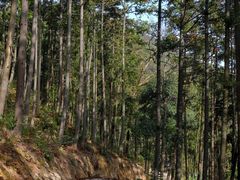 -东钱湖旅游度假区