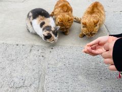 -终南山南五台景区