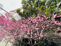 -上海市静安区闸北中心医院