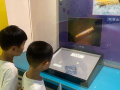 -上海昆虫博物馆