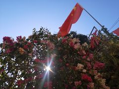-铁炉农家菜馆