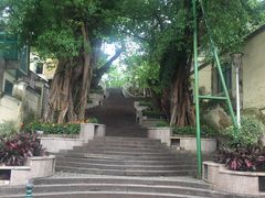 -澳门长洲糯米糍(柯打苏沙街店)