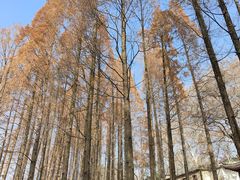 -东坡赤壁风景名胜区