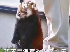 -一个叫川的地方(麒麟新天地店)
