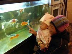-商都酒店( 北京南站店)
