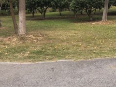 -梁鸿国家湿地公园