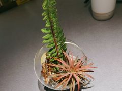 -码头见·潮汕菜(领展中心城店)
