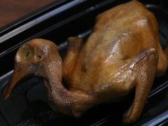 光明卤乳鸽-陈鹏鹏潮汕菜(宝安机场T3航站楼店)