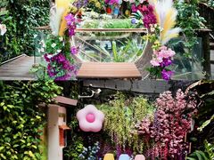 -正佳雨林生态植物园