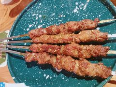 炭烤羊肉串-通海俄式烧烤(下瓦房店)