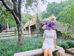 -晓港公园
