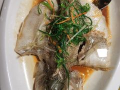 -花溪雨·森林餐厅(石基店)
