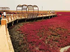 -红海滩国家风景廊道