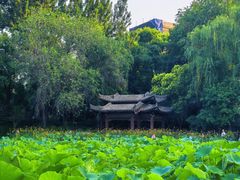 -莲湖公园