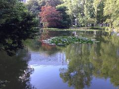 -北海道厅旧本厅舍(旧本庁舎)