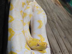 -石家庄市动物园