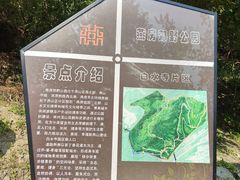 -白水寺森林公园