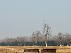 -汉长安城未央宫国家考古遗址公园