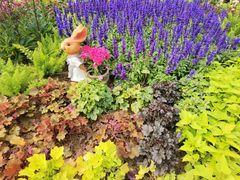 -人民公园(罗湖区)