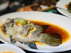-胶东人家(奥体中心店)
