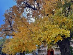 -北京石刻艺术博物馆(五塔寺)