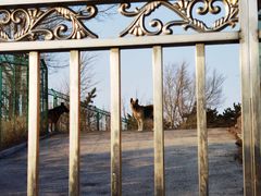 -沈阳辉山风景区