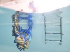 -上海潜殿潜水中心