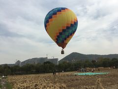 -长兴太湖图影湿地文化园