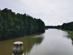 -上海海湾国家森林公园