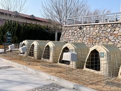 -君乐宝优致牧场