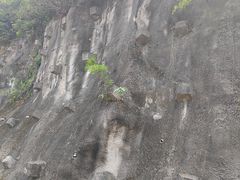 -小南山公园