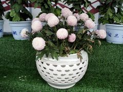 -廊坊文化艺术中心