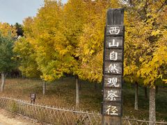 -北京西山国家森林公园