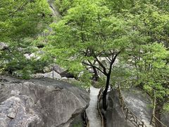 -洛阳白云山景区