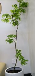 -吉艺心专业美发造型