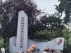 -莲湖公园