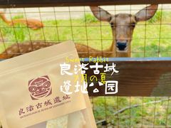 -良渚古城遗址公园