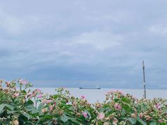 -上海滨江森林公园