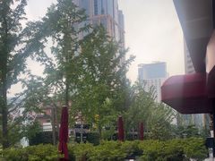 -Wolfgang’s Steakhouse 沃夫冈牛排馆(上海白玉兰广场店)