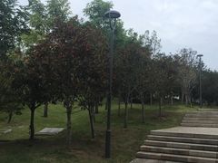 -牛岗山公园