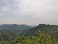 -大岭沟猕猴桃谷风景区